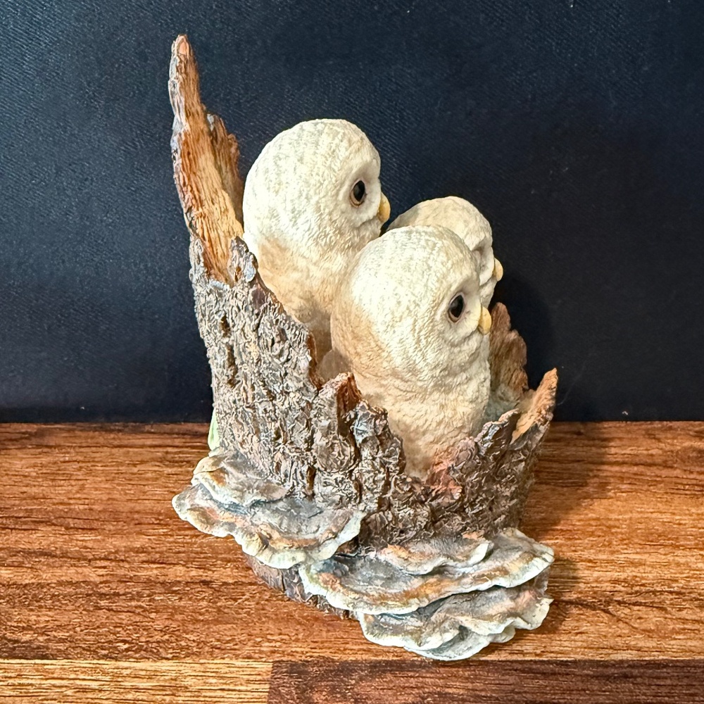 BORDER FINE ARTS Owl Figurine - Picture 13 of 16